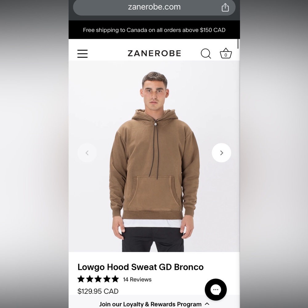 Zanerobe  Lowgo Hood Sweat GD Bronco